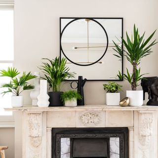white wall with mirror and white plants pot