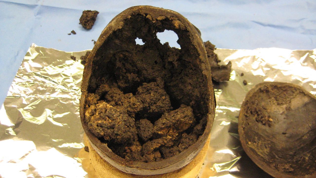 Sediment found inside the skull.