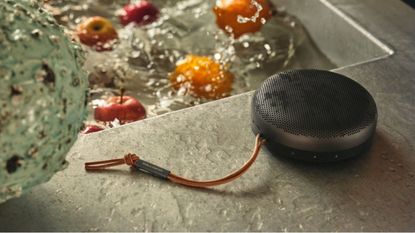 Bang & Olufsen Beosound A1 shower speaker next to sink
