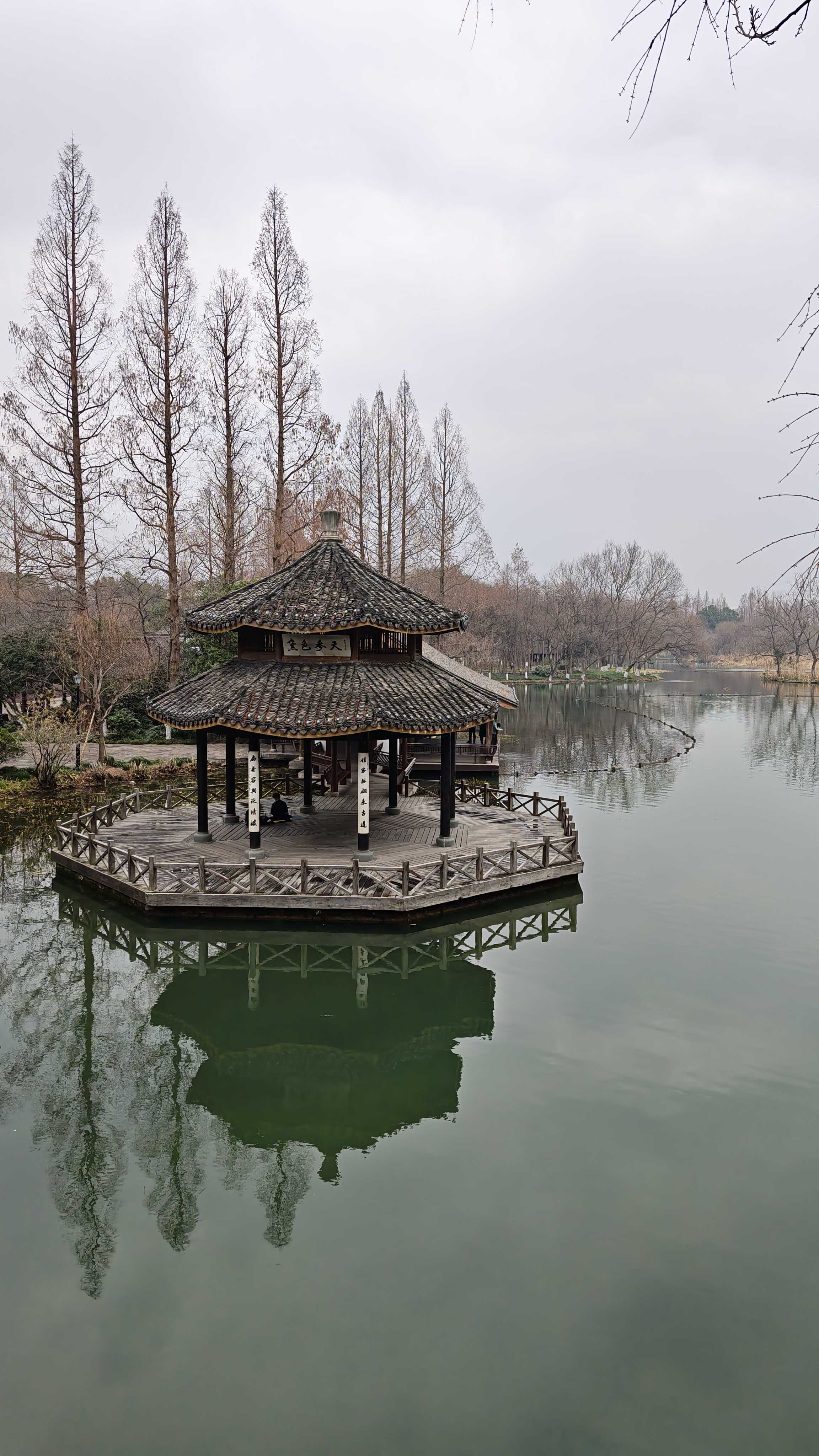 Honor Magic 8 Pro camera samples