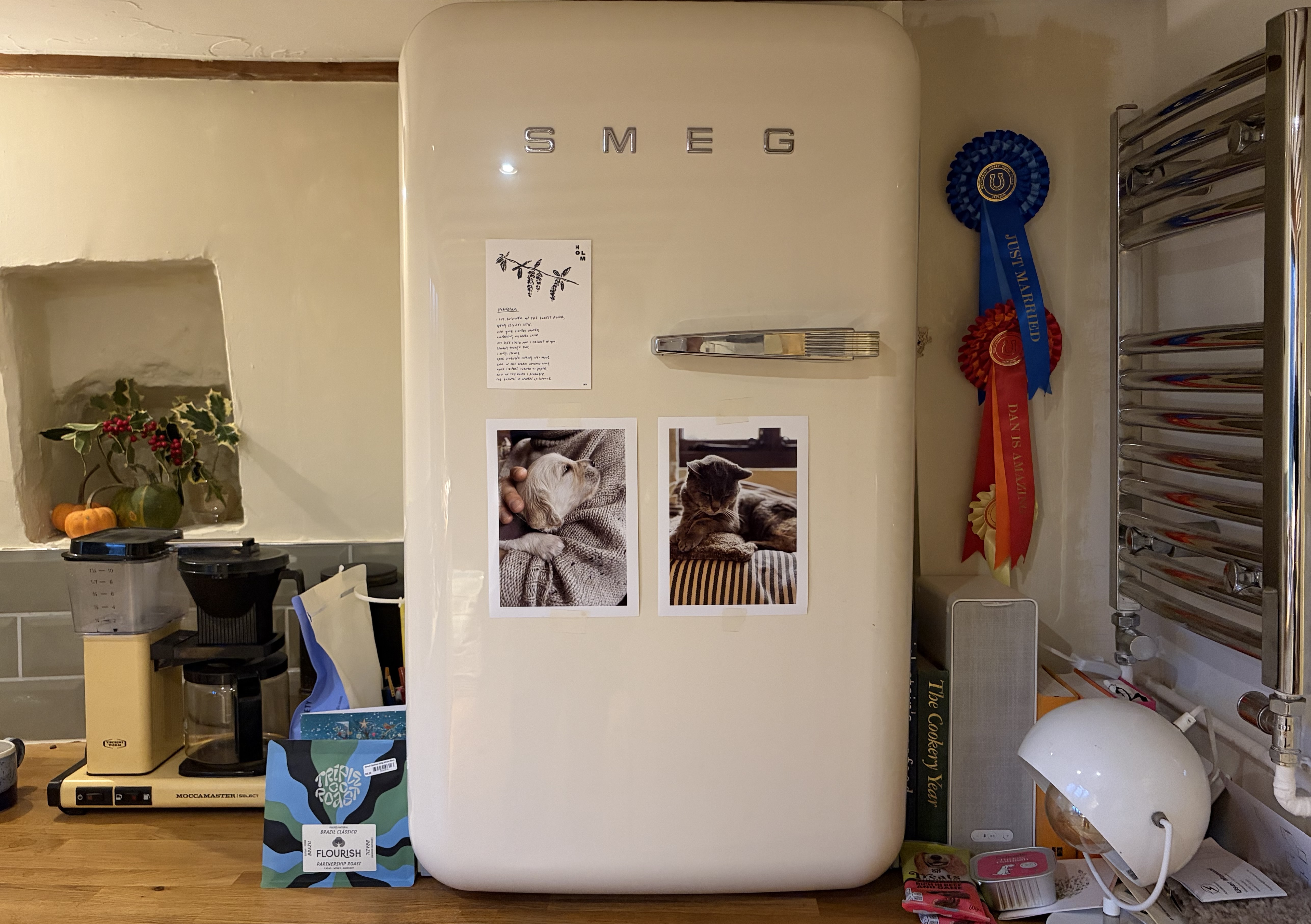 Smeg fridge
