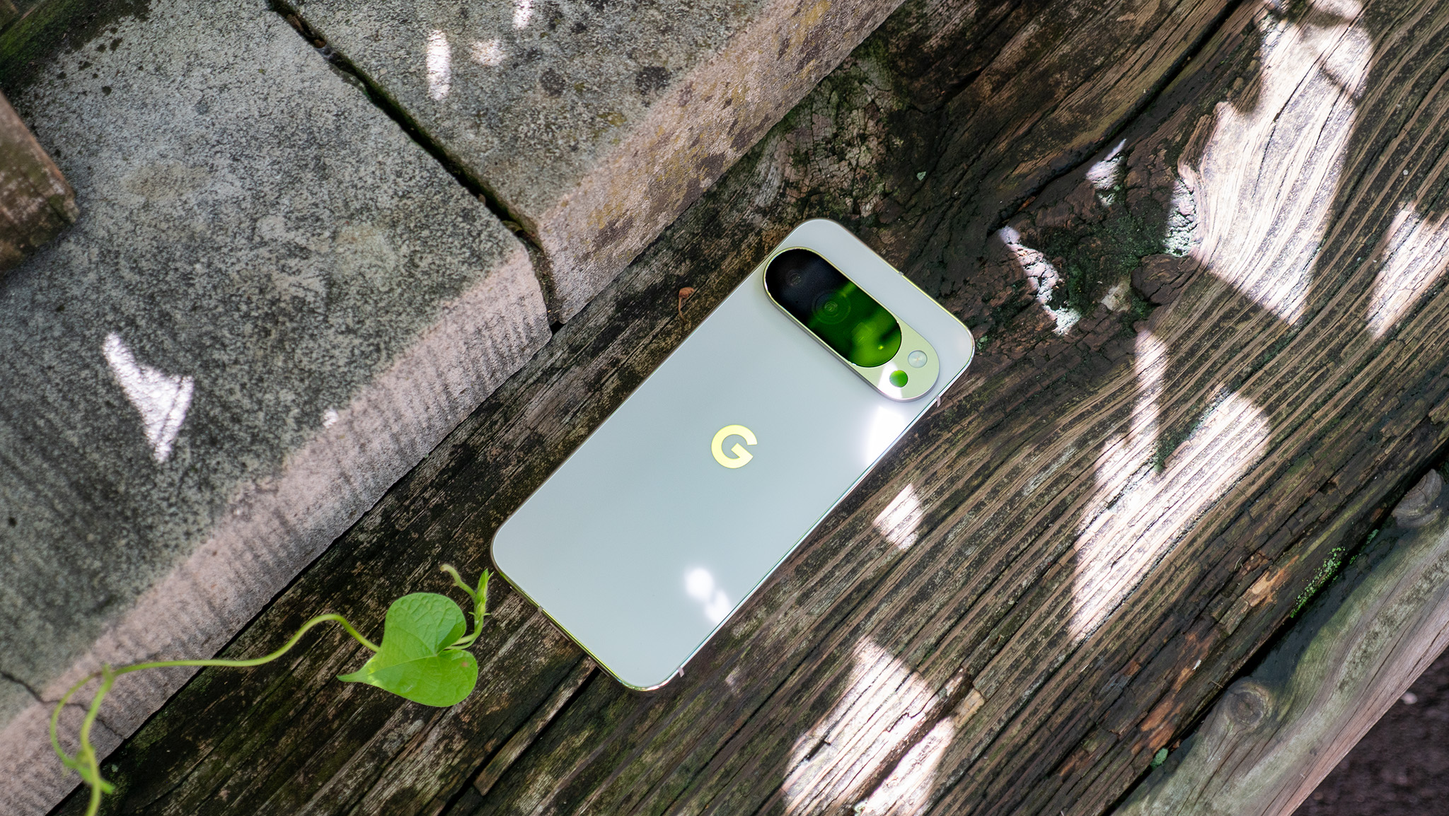 A white Google Pixel 10 Pro XL in dappled sunlight