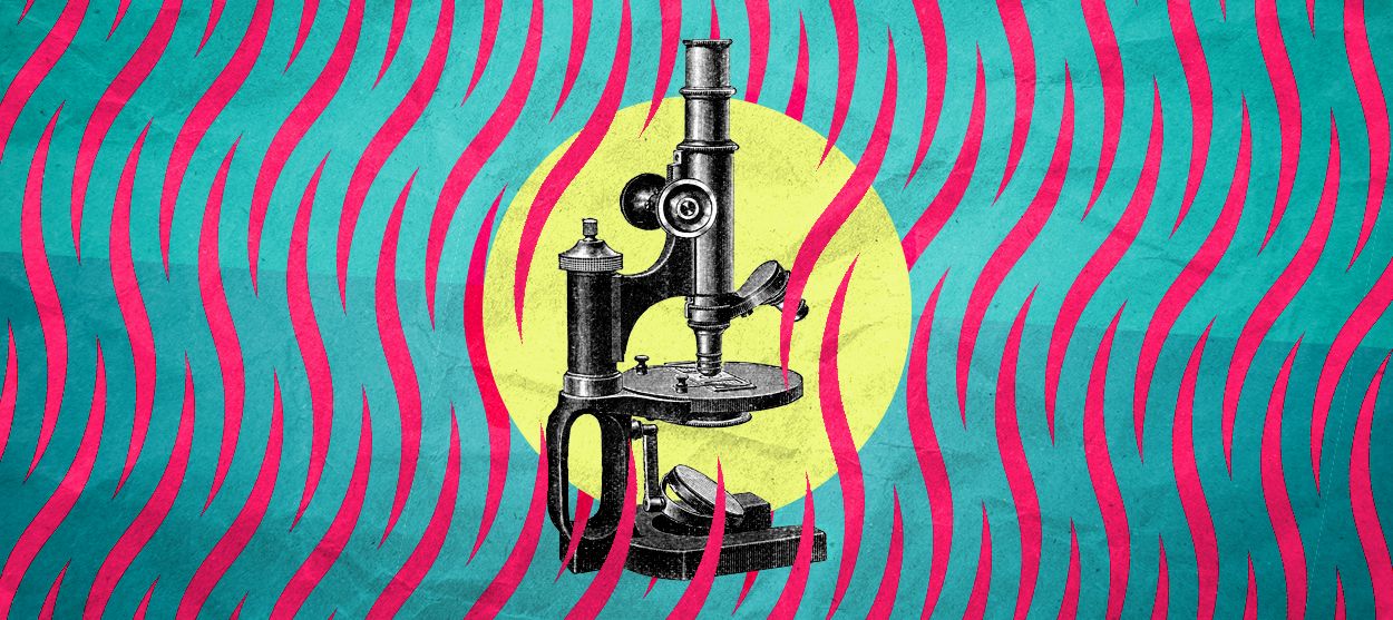 A microscope.