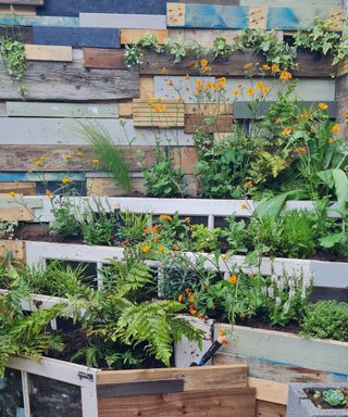 upcycled wall and planters on Lynne Lambourne's garden at the Chelsea Flower Show 2022