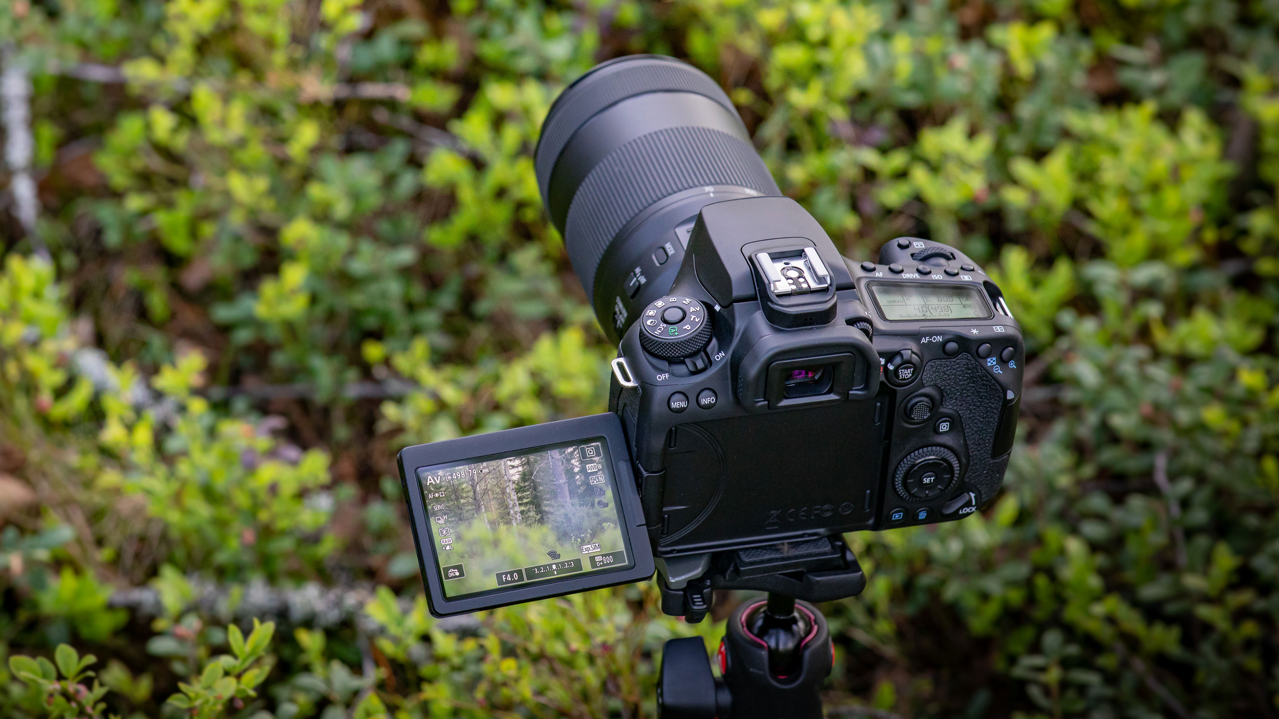 The best DSLR in 2021 Digital Camera World