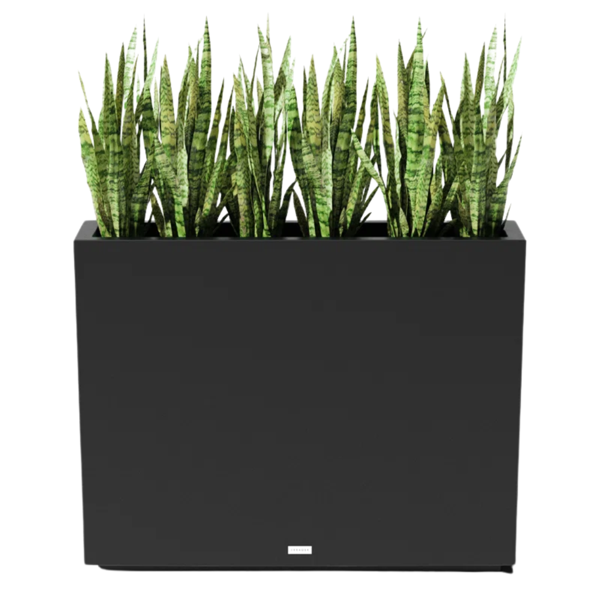 black planter with green plants inside 