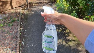 Spraying white vinegar on path