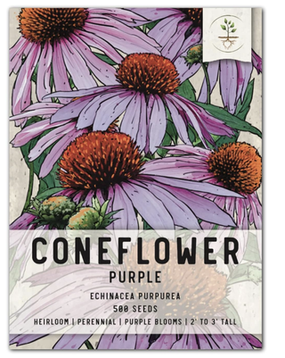 coneflower seeds packet