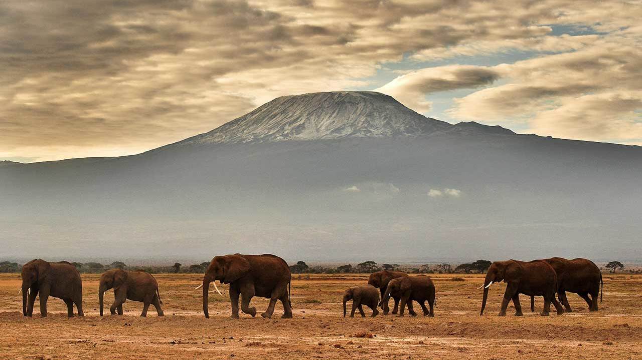 Mount Kilamanjaro