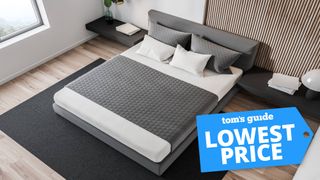 Luxury mattress shown in bedroom