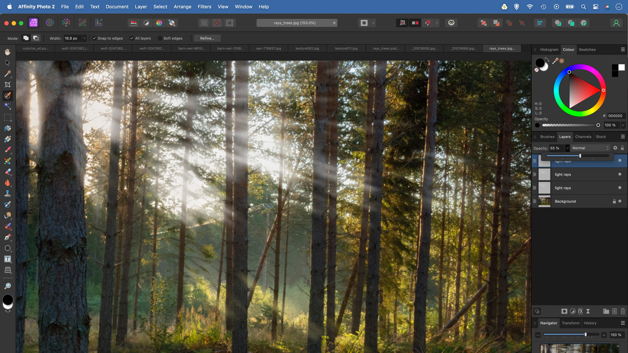 A person editing a forest scene in Affinity Photo adding light rays