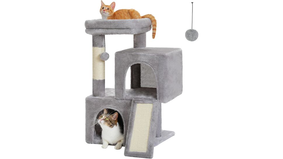 Best kitten toys 2024 The top playthings for your new cat PetsRadar