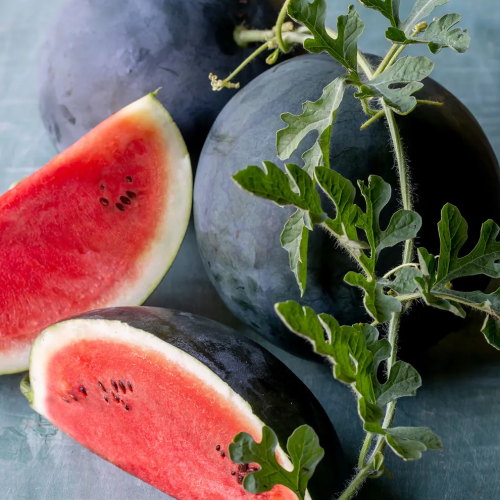 Watermelon, Sugar Baby