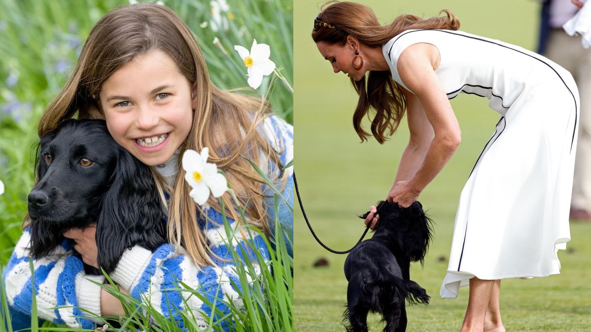 All About Kate Middleton and Prince William's Rarely-Seen Cocker Spaniel,  Orla | Marie Claire