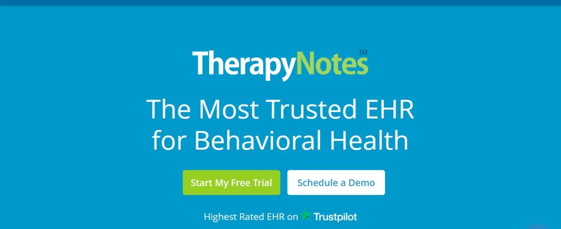 Website screenshot for TherapyNotes