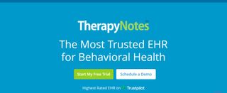 Website screenshot for TherapyNotes