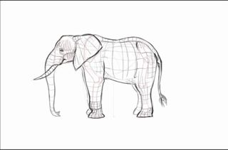 Rough sketch of an elephant