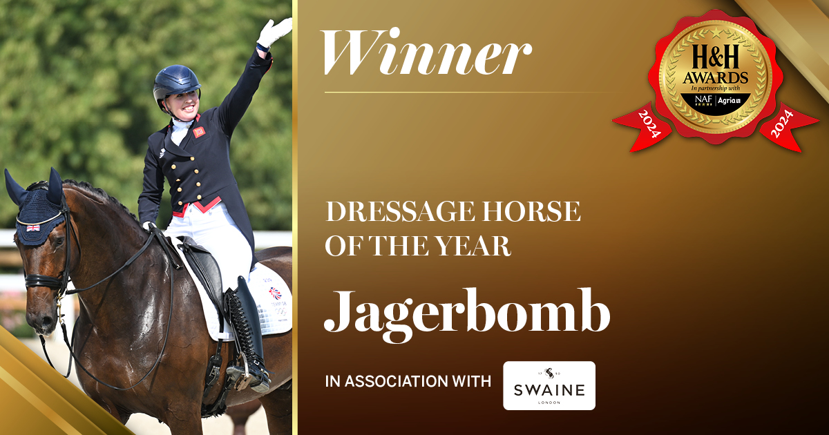 HH.0076_winner socials_1200x630_FB_36_Dressage Horse