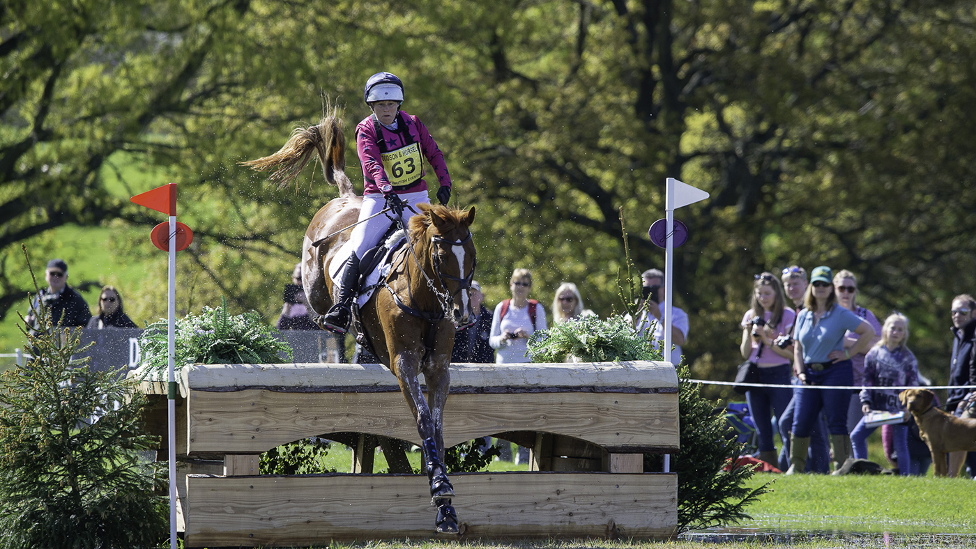 Chatsworth pictures 2019