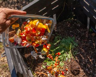 person adding food waste to a compost bin