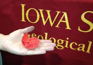 A shell printed by Iowa State's MakerBot Replicator during the Geological Society of America meeting in Denver.