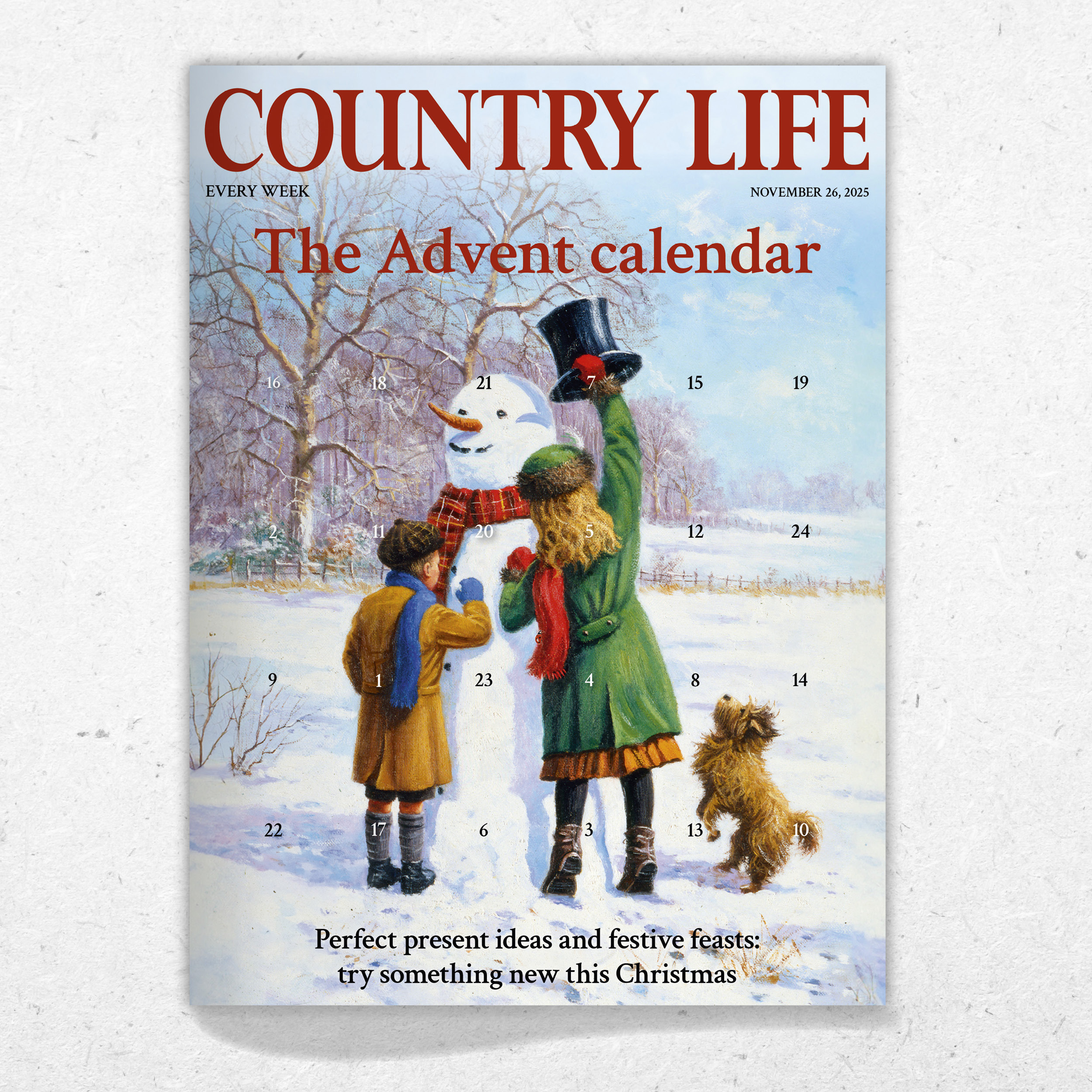 Cover of Country Life November 26 2025