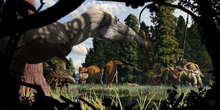 A Metasequoia forest in what is now Montana during the Late Cretaceous. Dinosaurs (from left to right): Gorgosaurus libratus, Edmontonia longiceps, Brachylophosaurus Canadensis, Stegoceras validum, Chasmosaurus belli, and Styracosaurus albertensis.
