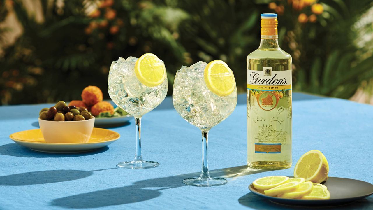 gordon&#039;s lemon gin