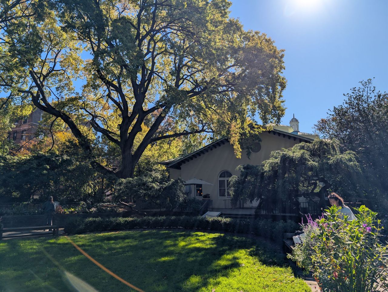 Google Pixel 10 Pro XL daytime sample.
