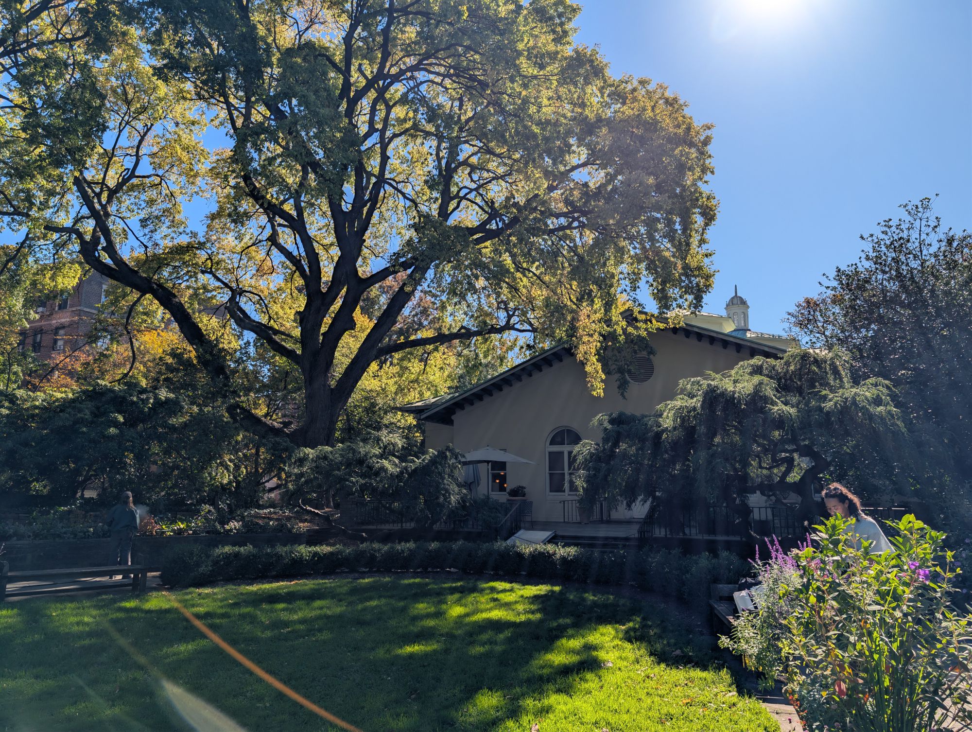 Google Pixel 10 Pro XL daytime sample.