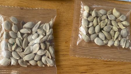 China seeds